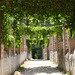 Chemin sous Pergolas - Parc de la Garenne Lemot