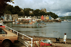 Tobermory (52 07)