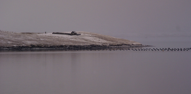 Shetland