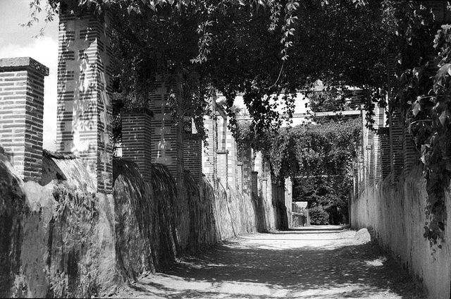 Pergola - Parc de la Garenne Lemot