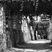 Pergola - Parc de la Garenne Lemot