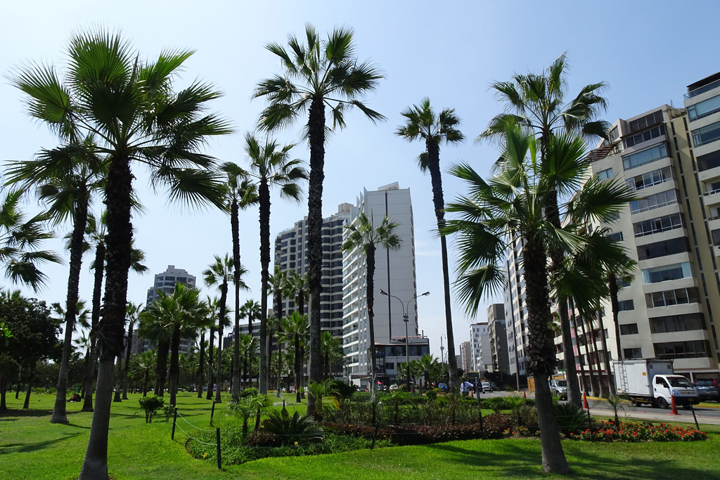 Miraflores
