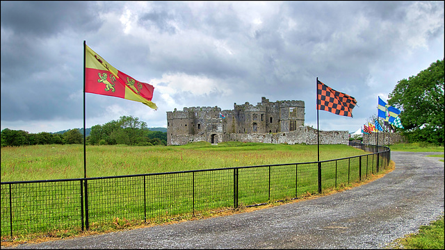 HFF..................From Carew Castle