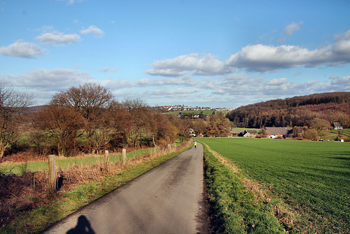 Im Steinhausen (Wetter) / 25.02.2023
