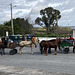 Marchands de chevaux