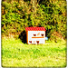 A cattery-house in the middle of the farm for protection of homeless cats