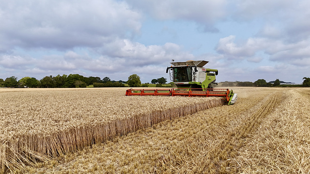 Gnosall combine time