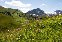 Bergwelt am Hochtannbergpass