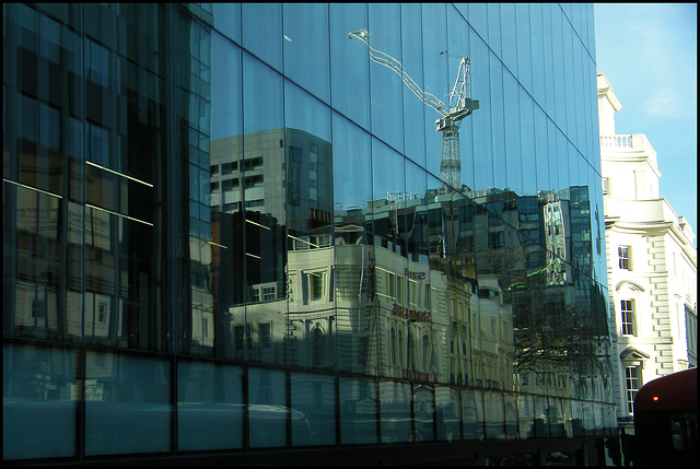 reflection on a carbuncle