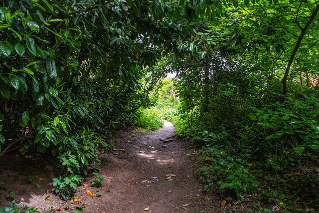 Pathway behind  St. Nicholas' Church