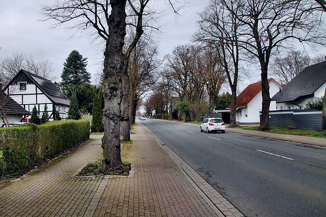 Kamener Straße (Unna-Königsborn) / 16.03.2024