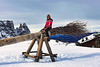 On The Alpe di Siusi