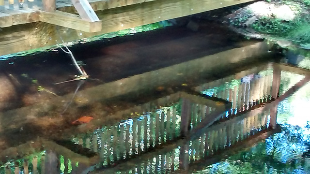 Reflections -  Bridge in Grist Mill, Sudbury, Mass