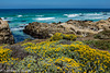 Pebble Beach, California, 17 Mile Drive 003