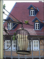 Quedlinburg, Harz 301