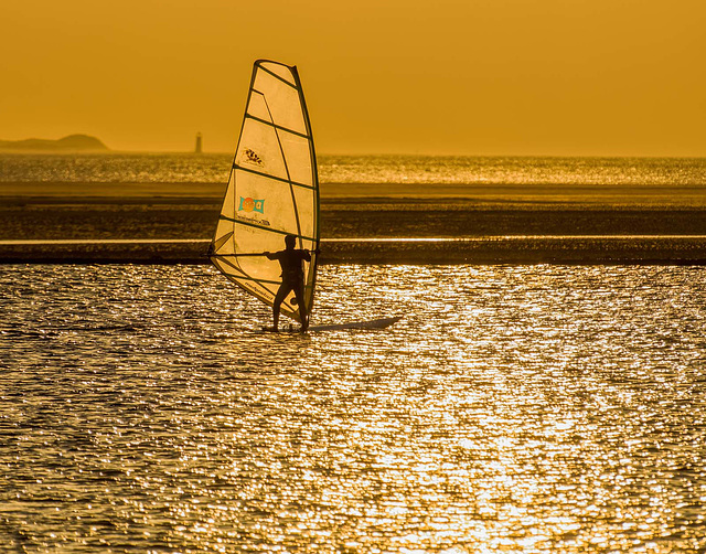 Windsurfer