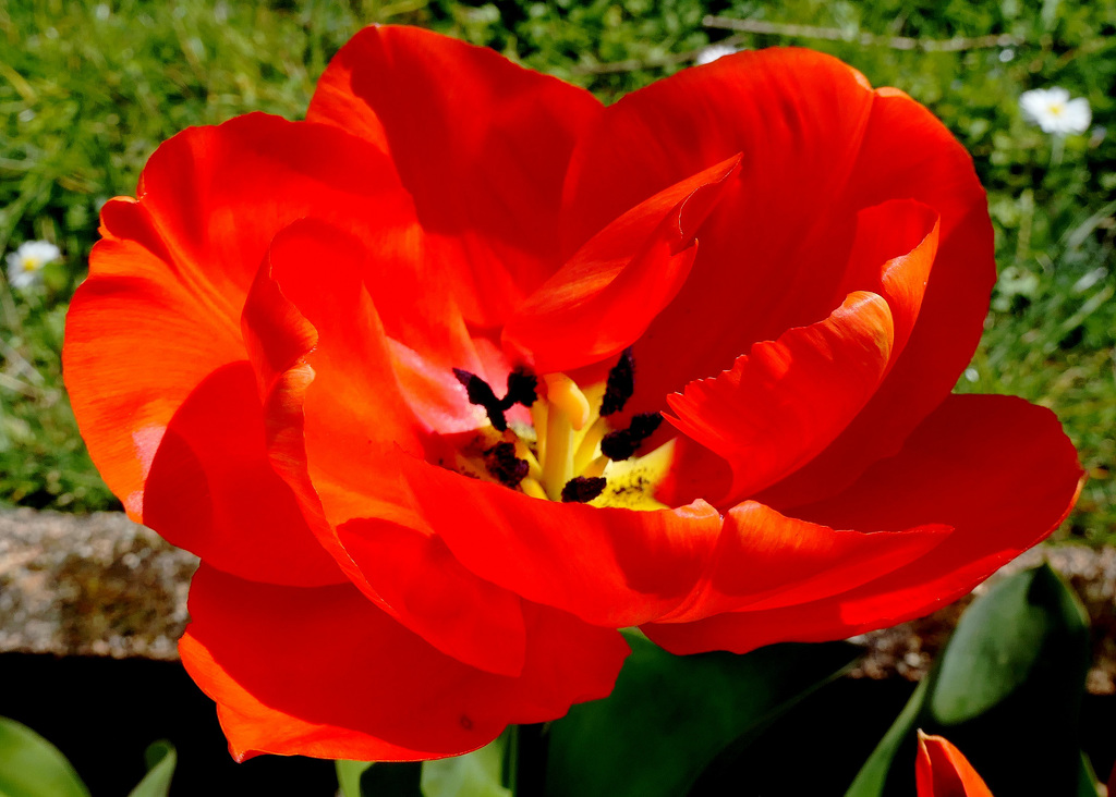 P1183586