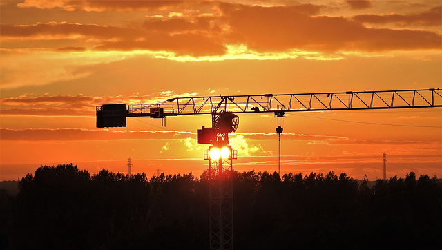 Kran vor der Abendsonne