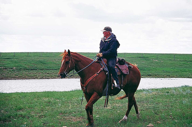 a cowboy