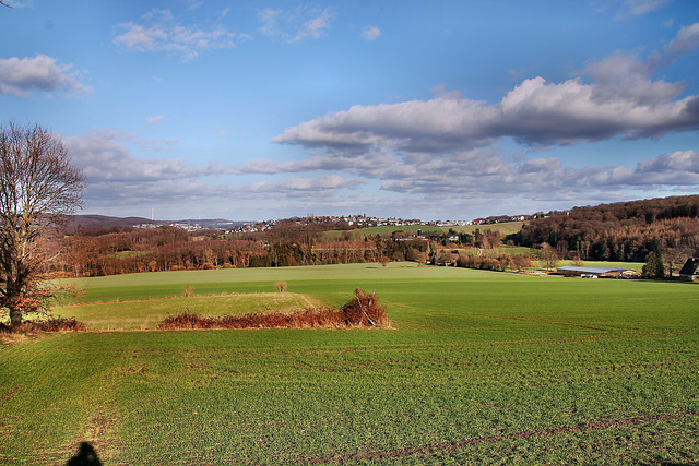 Blick über das Schlebuscher Feld (Wetter) / 25.02.2023