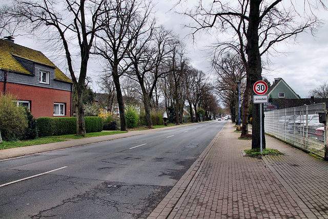 Kamener Straße (Unna-Königsborn) / 16.03.2024