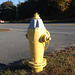 Borne à incendie en liberté / Hydrant freedom