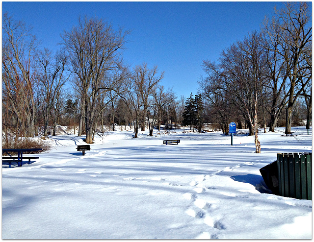 Pretty Girl /Red Cedar River