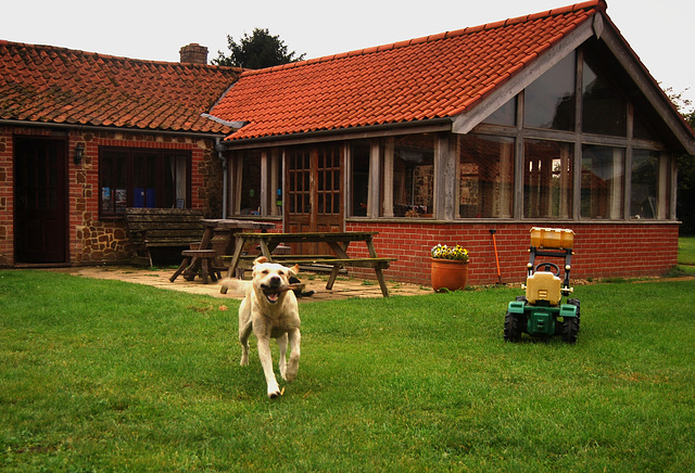 Little Abbey Farm, Norfolk