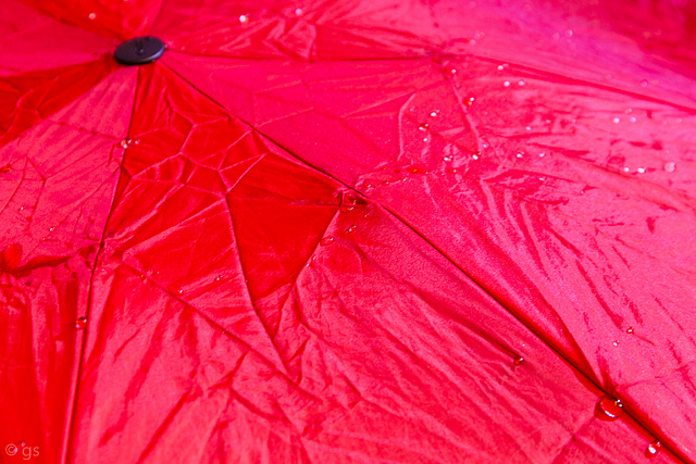 Wet umbrella