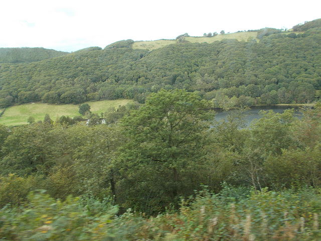 VoR[19] - Afon Rheidol {1 of 2}