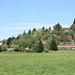 BÖ0029561