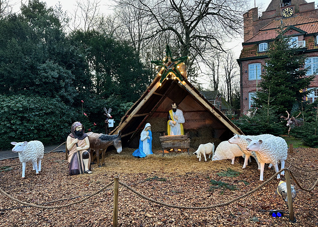 Krippe auf dem Weihnachtsmarkt  (PiP)