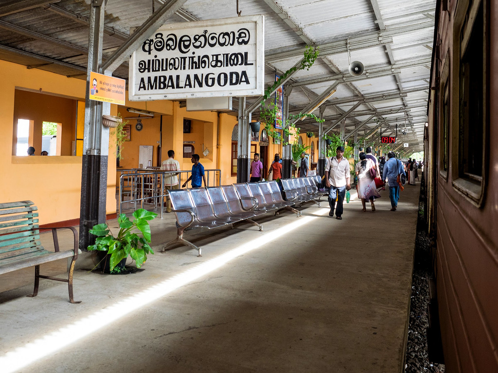 On the train to Galle