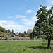 BÖ0029562