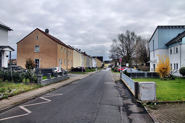 Rollmannstraße (Unna-Königsborn) / 16.03.2024