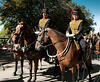 Happiness is the Royal Horse Artillery