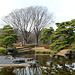 Tokyo, Reflection in the Ninomaru Pond in the Garden of the Imperial Palace