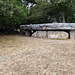 Livernon  -  Dolmen de la Pierre Martine