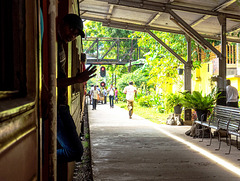 On the train to Galle