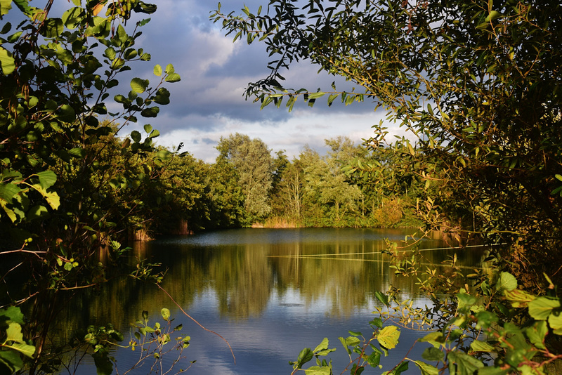 Sandwich Course Fishing Lakes