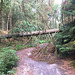 Auf dem Weg zur Höllenschlucht