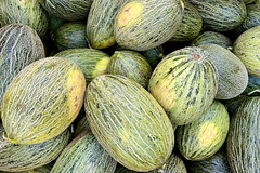 Piel De Sapo melon