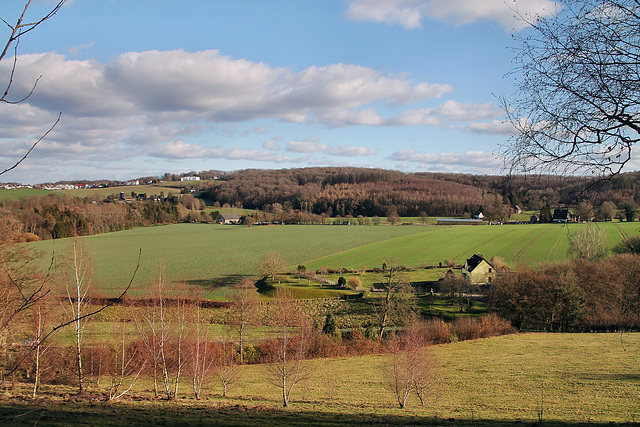 Blick über das Schlebuscher Feld (Wetter) / 25.02.2023