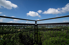 parc des oiseaux Villars les Dombes