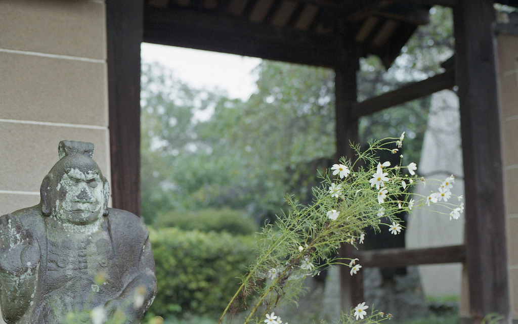 Cosmos and a statue