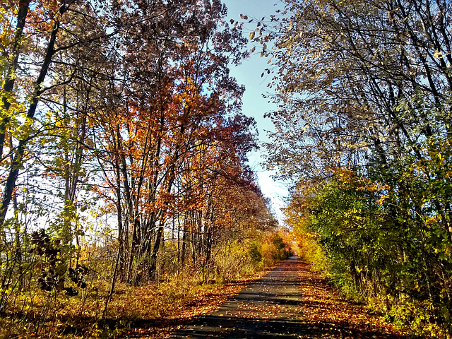 October 28th in Michigan.