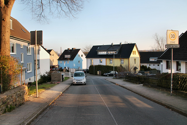 Im Westenfeld (Hattingen-Baak) / 14.01.2018