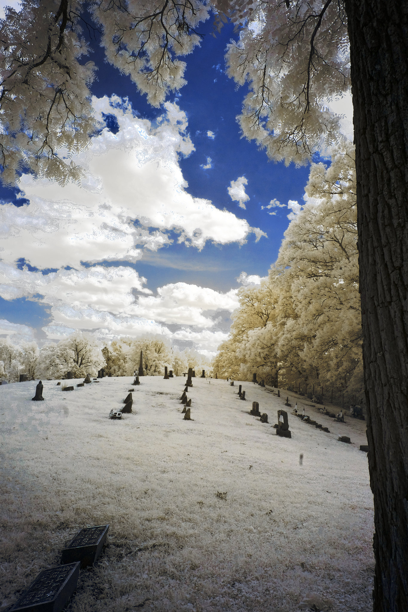 The town cemetery, Stewart, Ohio