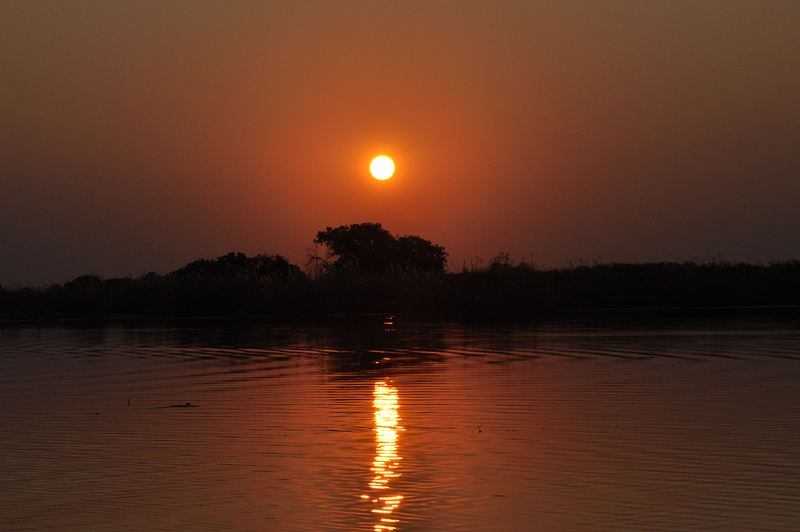 Sunsubiro. Lasta vespero en Okavango-Delto