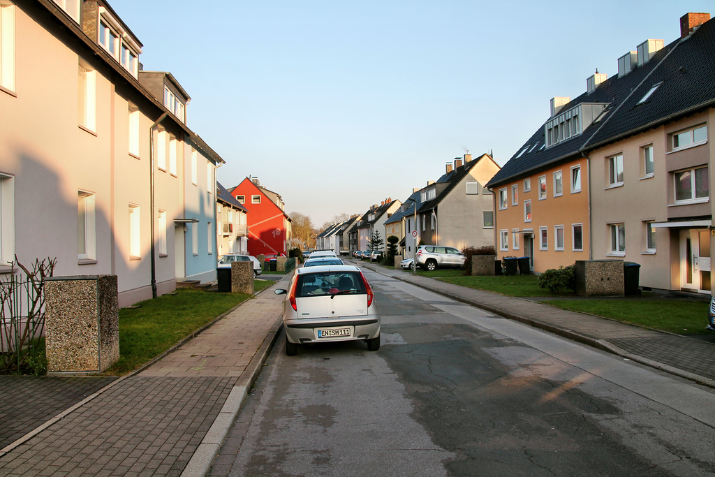 Im Westenfeld (Hattingen-Baak) / 14.01.2018